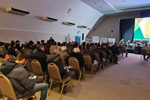 El rendimiento medio de soja en Tucumán alcanzó las 3,1 toneladas por hectárea