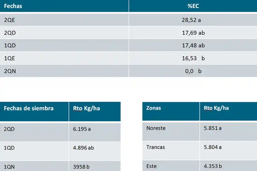 El spiroplasma afectó más a medida de que se postergó la fecha de siembra