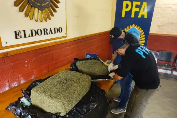 Secuestraron más de 650 kilogramos de marihuana en Misiones
