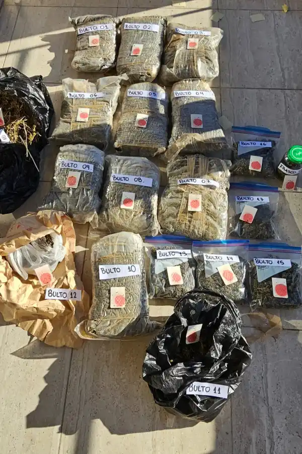 Operativo. PRENSA PSA