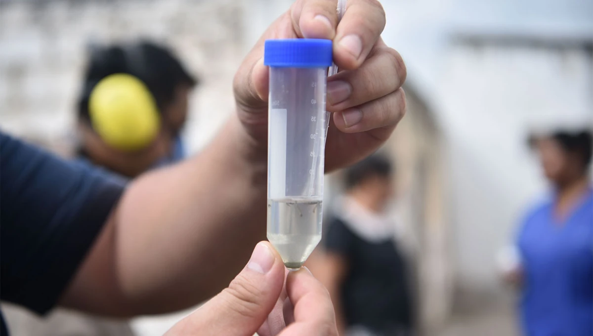 ELIMINAR LARVAS. Las autoridades sanitarias recomiendan sostener la higiene para disminuir la población de aedes aegypti para el próximo verano. 