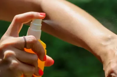 La Anmat prohibió la venta de un reconocido repelente de insectos por considerarlo “ilegal”: de cuál se trata