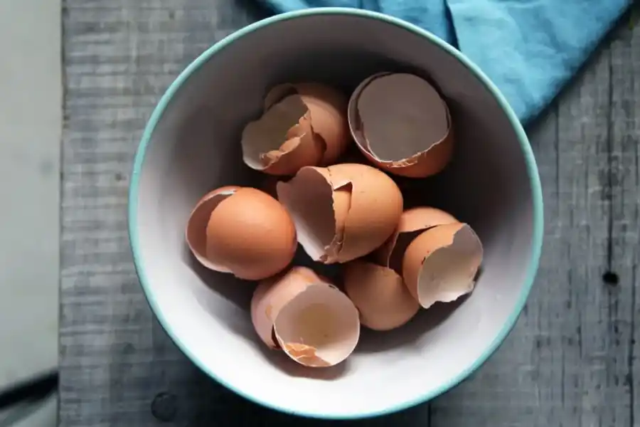 Cuidado con las intoxicaciones alimentarias.