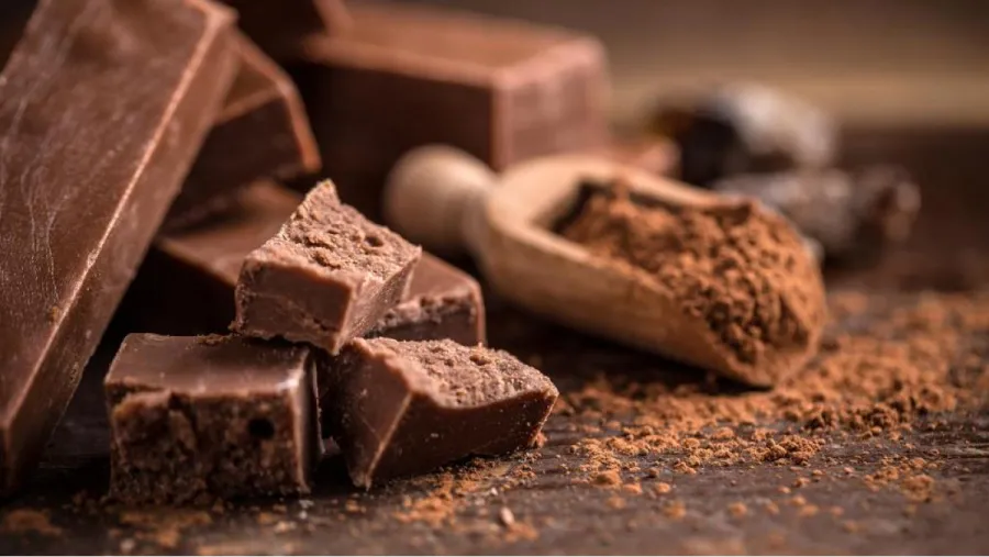 El chocolate podría tener aspectos negativos para algunos organismos