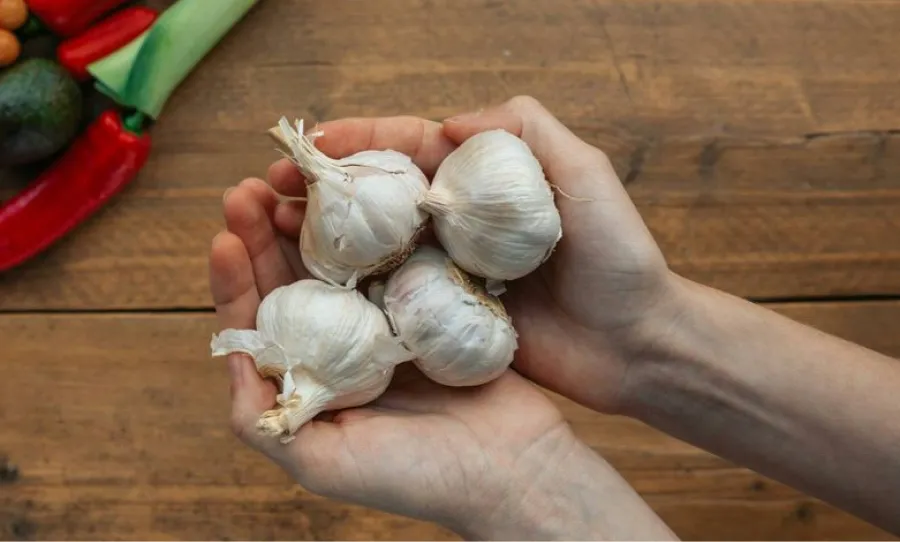 El ingrediente que ayuda a regular la glucosa en sangre es el ajo.