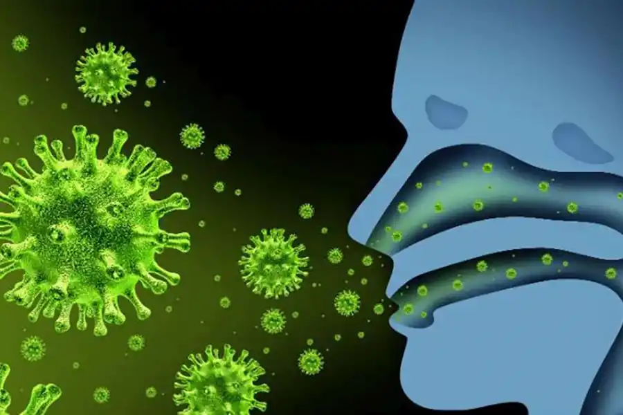 La gripe y el resfriado son causados por virus.