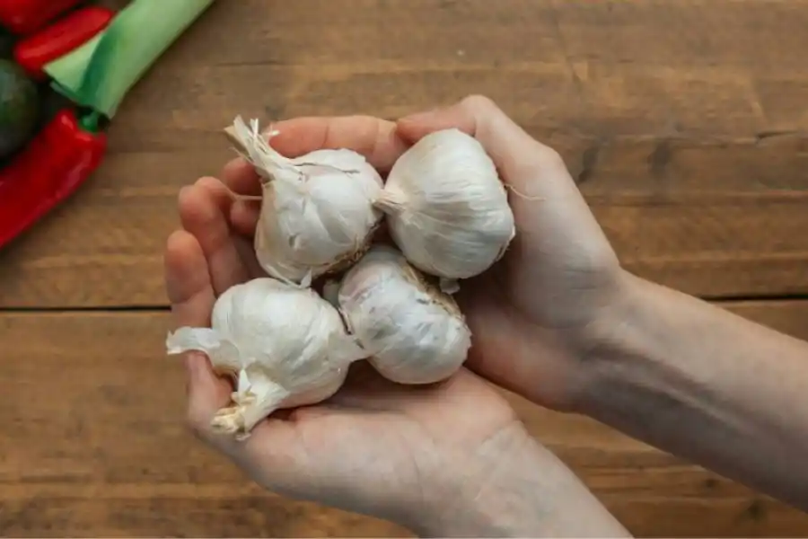 El ingrediente que ayuda a regular la glucosa en sangre es el ajo.