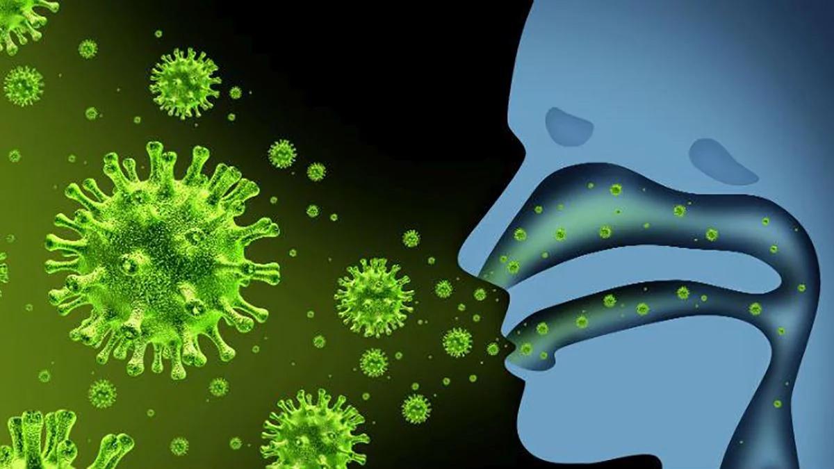 La gripe y el resfriado son causados por virus.