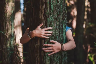 Arboterapia: el ritual sanador de abrazar árboles