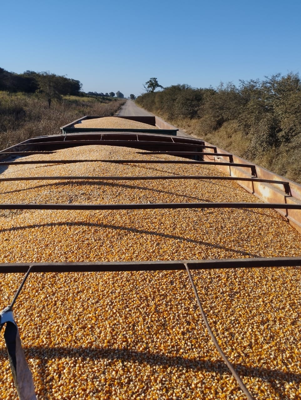 SISTEMA. Los transportistas trasladan hasta 32.000 kilos de maíz en camiones con acoplados que son tapados con lonas.