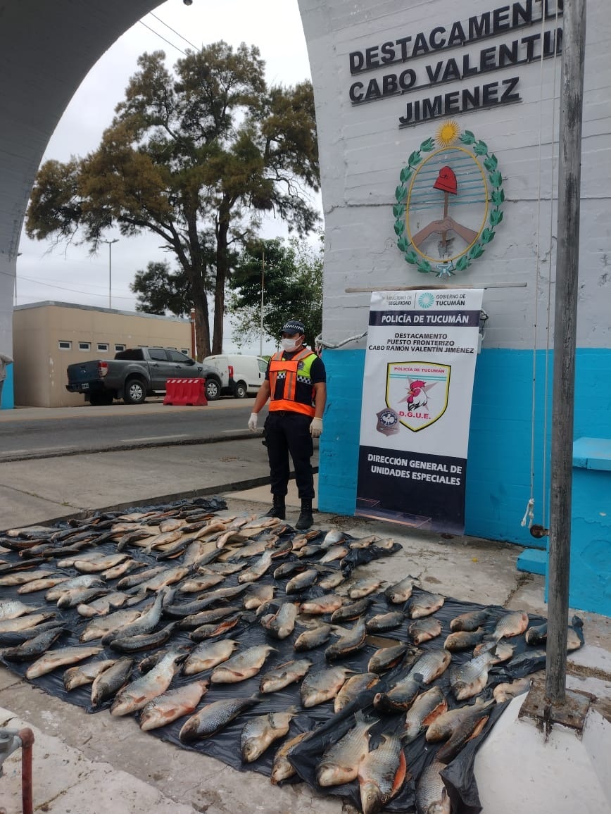 DAÑO AMBIENTAL. En el marco del Operativo Lapacho secuestraron más de 600 kilos de sábalos que fueron pescado de manera furtiva.