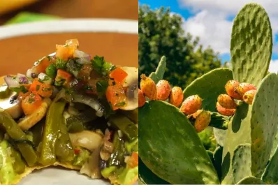 Tapas de nopal y champiñones: una receta para reducir los niveles de azúcar en sangre