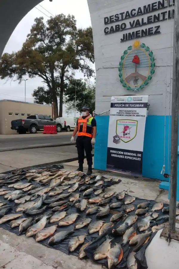 DAÑO AMBIENTAL. En el marco del Operativo Lapacho secuestraron más de 600 kilos de sábalos que fueron pescado de manera furtiva.