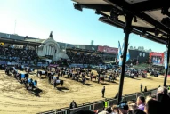 Durante 10 días se desarrollará la Exposición Rural de Palermo