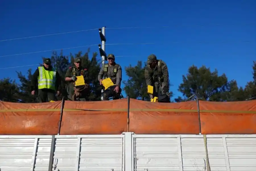 Narcotráfico: investigan los vínculos del NOA con el “Operativo dulzura”