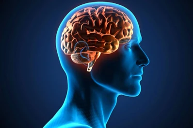 El alimento infaltable en tu dieta que potencia la salud del cerebro