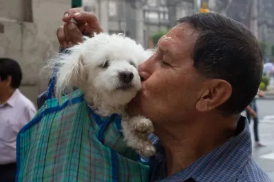 Día Mundial del Perro: por qué se celebra cada 21 de julio