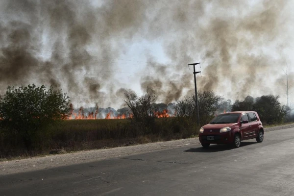 Preocupación en la industria azucarera ante la temporada de incendios en cañaverales