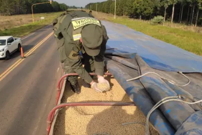 Gendarmería secuestró más de 100 toneladas de granos de soja
