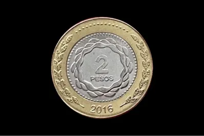 Ofrecen hasta $100.000 por una moneda de dos pesos: qué característica particular deben tener y dónde venderlas