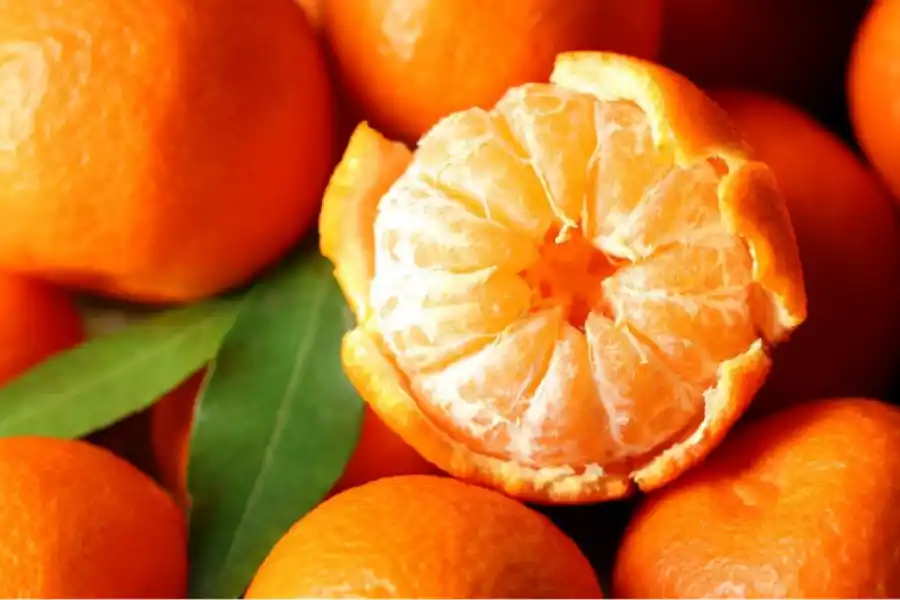 La mandarina es una de las preferidas de los argentinos y ofrece numerosos beneficios a nuestro organismo.