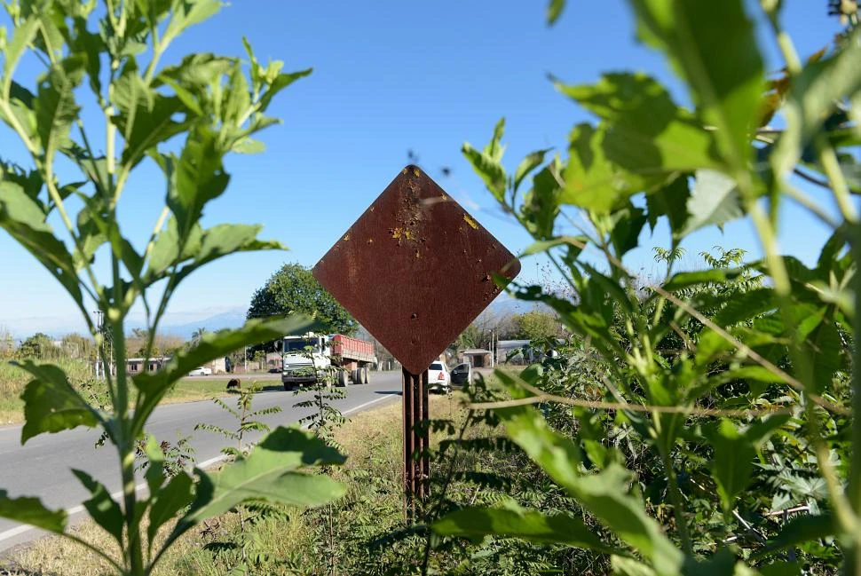 UN GRAVE PROBLEMA. El titular de Vialidad informó que se registran hasta 25 casos de vandalización o robos de señales viales por día. 