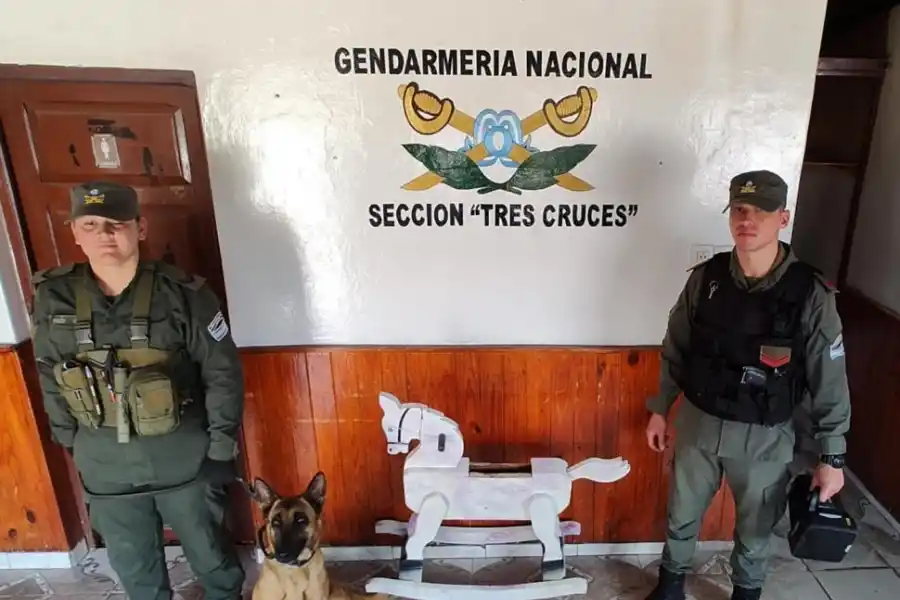 TODO VALE. Escondieron drogas en el interior de caballos de madera.