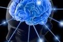 ¿El Wifi puede afectar a nuestro cerebro? El impacto de su radiación en nuestra salud