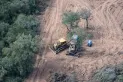 Denuncian que aumentaron los desmontes ilegales en el norte del país
