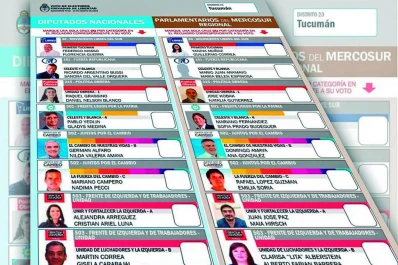 VIDEO. Debate por la reforma electoral: “La boleta única papel es más democrática”