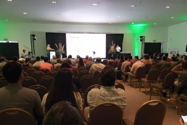 Técnicos de la caña de azúcar debaten en Tucumán