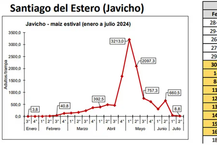 Figura 3: Dinámica poblacional de Dalbulus maidis en trampas cromáticas adhesivas. Tabla 3: Registros de heladas para Isca Yacu correspondiente al mes de mayo, junio y julio de 2024. (Fuente: agromet.eeaoc.gob.ar).
