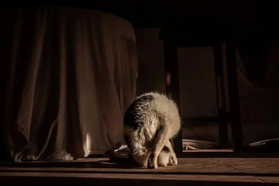 SEGUNDA MENCIÓN. La tucumana Mara Villanueva presentó “Efímera”.