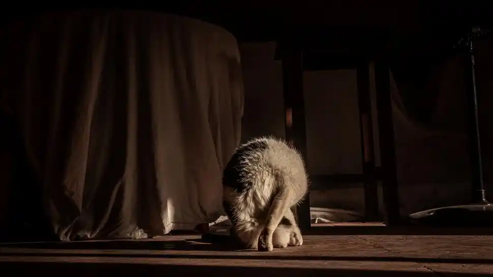 SEGUNDA MENCIÓN. La tucumana Mara Villanueva presentó “Efímera”.