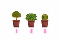 Test de personalidad: elegí una planta y descubrí cuál es tu mayor fortaleza
