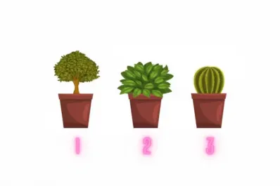Test de personalidad: la planta que elijas revelará tu mayor fortaleza