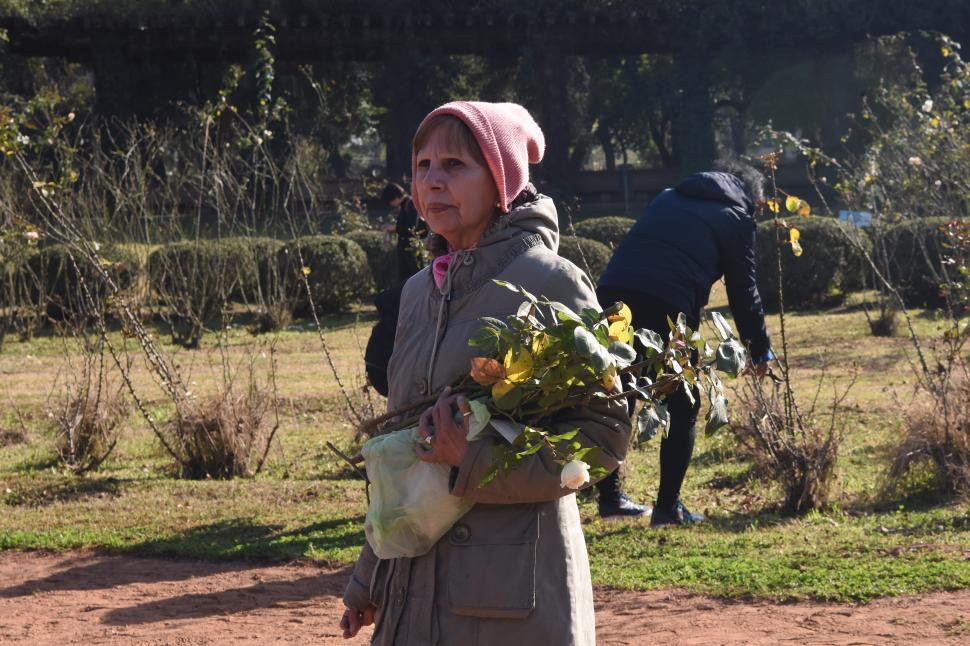 VIDEO. El Rosedal comparte su belleza con los tucumanos