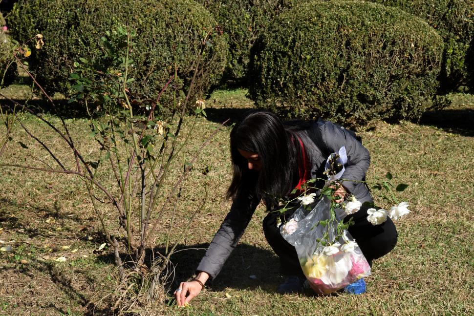 VIDEO. El Rosedal comparte su belleza con los tucumanos