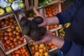 Día Mundial de la Palta: de la venta en las calles al menú gourmet