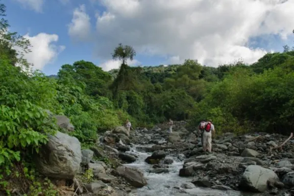 Financian un plan de conservación de bosques nativos en Tucumán