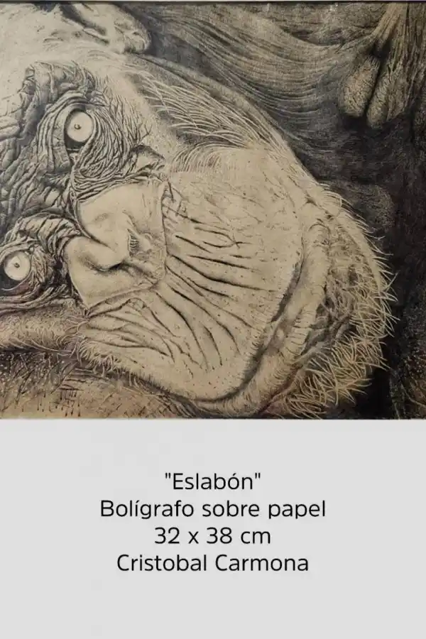 BOLÍGRAFO SOBRE PAPEL. “Eslabón”, una creación de Cristóbal Carmona.