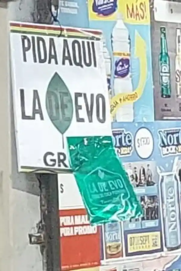 La ilegalidad no detiene el millonario negocio de la venta de coca