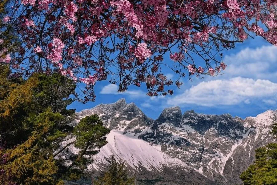 EL BOLSÓN. Un refugio cervecero patagónico./Foto: Silvina Speratti