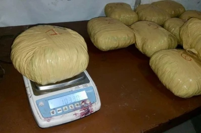 La demora en la renovación del Reprocann incrementó el tráfico de marihuana