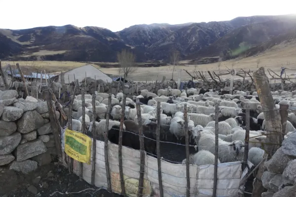 Se vieron muchos animales huyendo del fuego, relató un empleado municipal