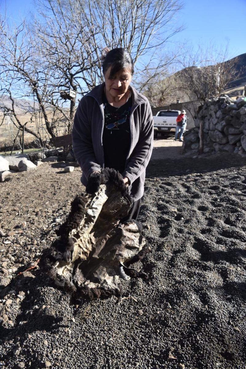 DESESPERACIÓN. Los lugareños usaron desde palas hasta cuero de oveja mojado.