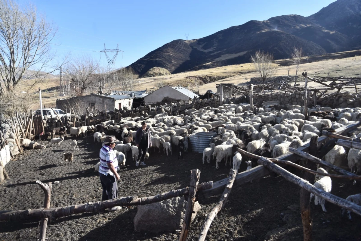 Incendios en Tafí del Valle: el Gobierno envió alimentos para los animales