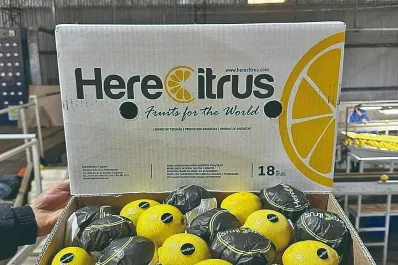 HereCitrus: limones tucumanos de calidad y para el mundo
