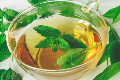 La infusión con propiedades antibacterianas que reduce los síntomas de la infección urinaria