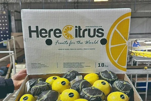 HereCitrus: limones tucumanos de calidad y para el mundo